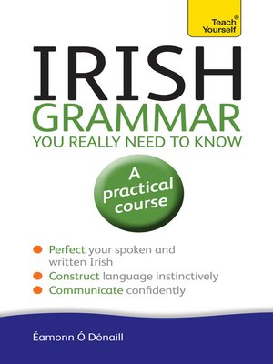 cover image of Irish Grammar You Really Need to Know